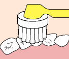1.歯みがき剤は、みがきながら少量ずつつけるのが コツです。